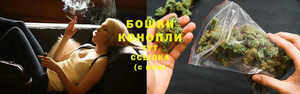 прущие крисы Арсеньев