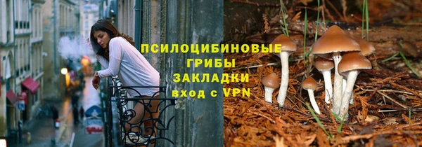 прущие крисы Арсеньев